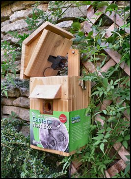 Nest Box Camera Black & White