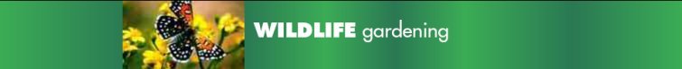 Click here for wildlifegardening.co.uk