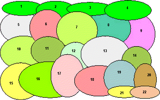 Planting plan